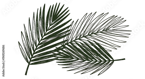 Beach summer vacation naive outline sketch vector illustration of palm leaves