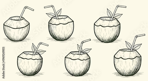A naive outline sketch vector illustration of six coconut drinks on a beach for a summer vacation