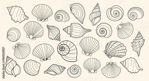 Beach summer vacation naive outline sketch vector illustration of seashells.