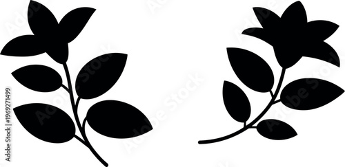 Leaf and flower branch silhouette set with botanical plant design in minimalist black vector style