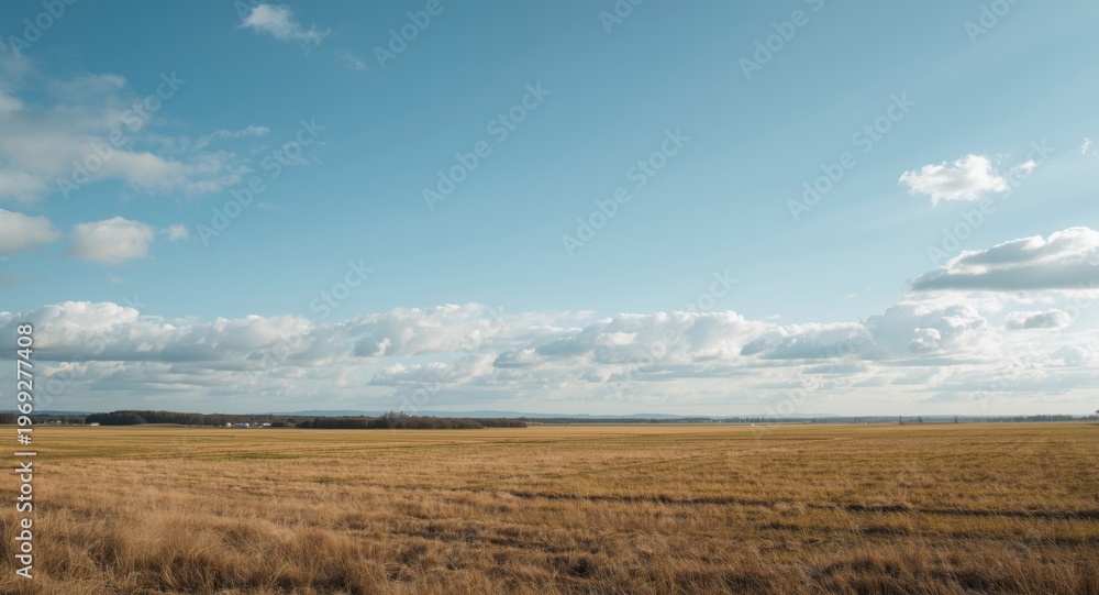 Fototapeta premium Spacious airfield view with scattered soft clouds and bright sky offering generous copyspace