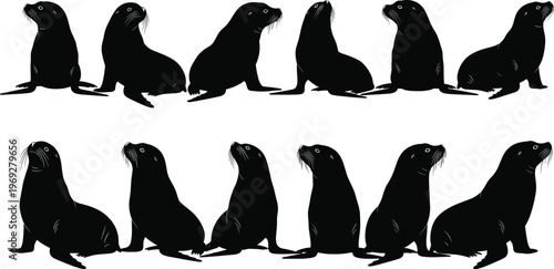 Sea lion silhouette set, black vector icons in sitting and resting poses, isolated clipart for marine animal, nature, wildlife, design, study