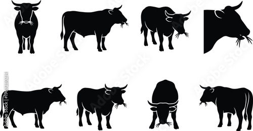 Dynamic bull silhouette vector collection. Features various poses of powerful oxen, including charging, standing, and aggressive stances. Ideal for financial market graphics and sports team logos.