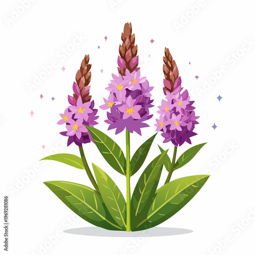 Purple hyacinth flowers with green leaves