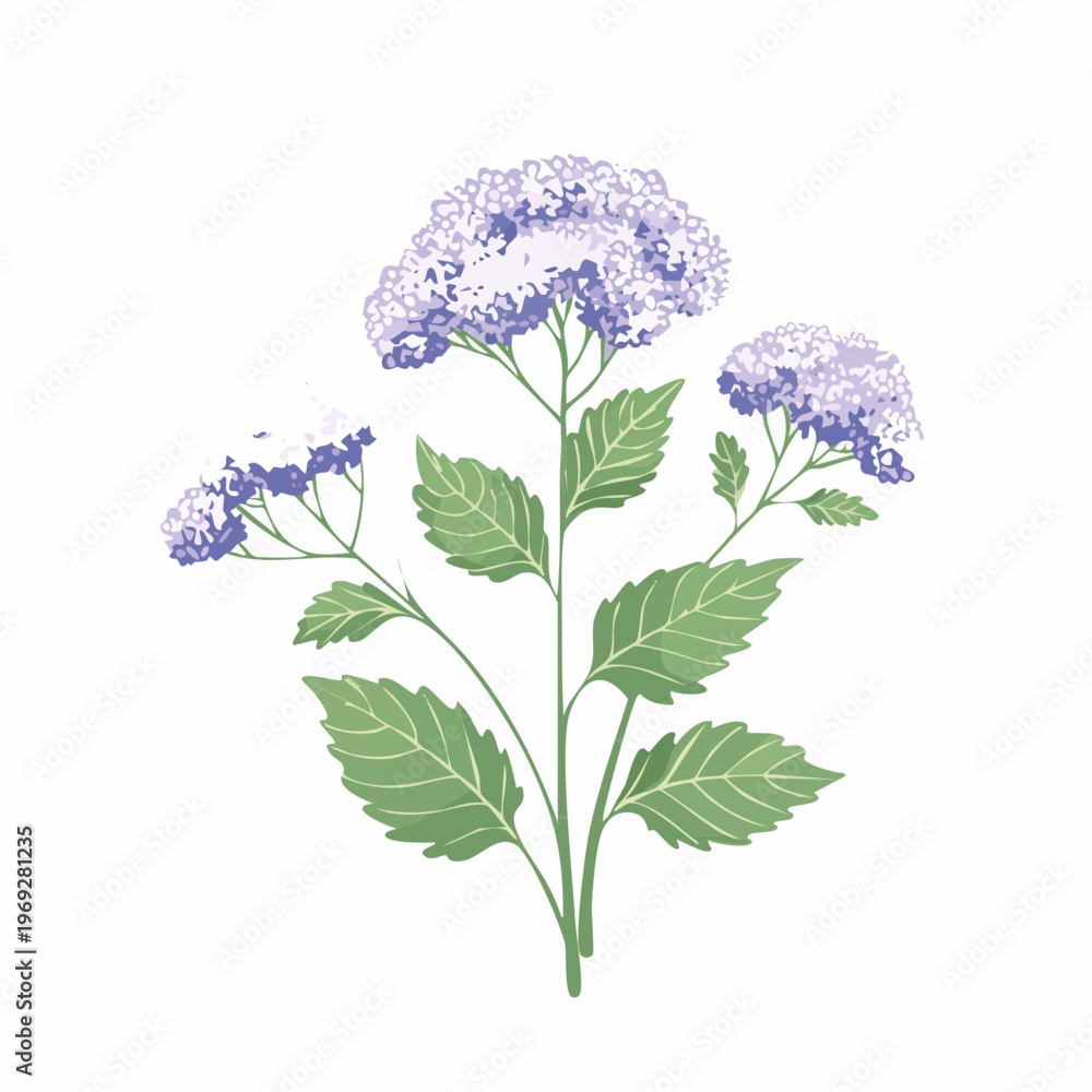 Naklejka premium Purple hydrangea flower branch with leaves with transparent background