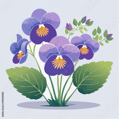 Purple pansy flowers with green leaves