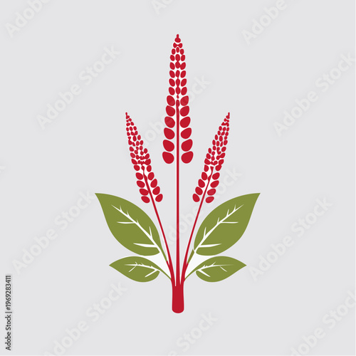 Red flower spikes with green leaves on gray background