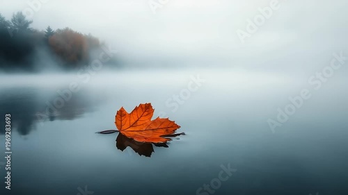 Orange Leaf Floating on Calm Misty Lake at Dawn