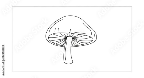 Mushroom illustration, line art, simple drawing, isolated on white background