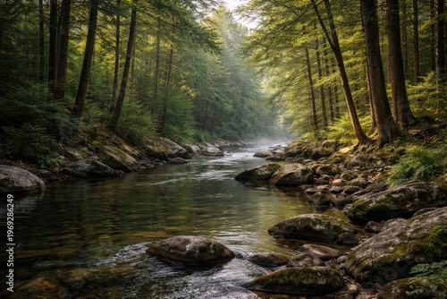A peaceful river winding through thick woodland with tall trees and rocky banks in a scenic natural setting