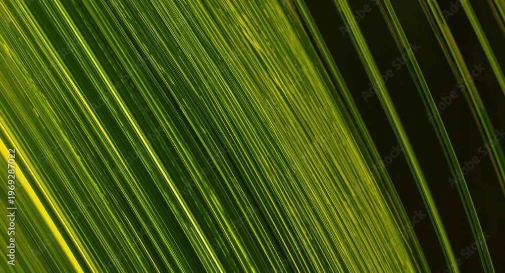 Obraz premium Yellow and green gradient ultraviolet diode strips in abstract formation