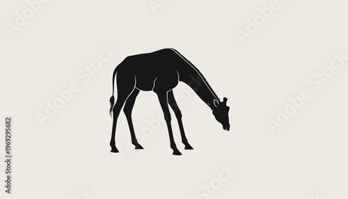 A black silhouette of a giraffe grazing