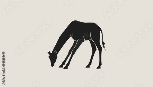 A black silhouette of a giraffe bending down