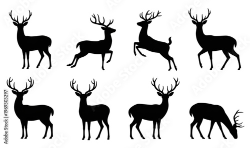 A herd of diverse domestic cattle with varying horn shapes and coat colors isolated on transparent background