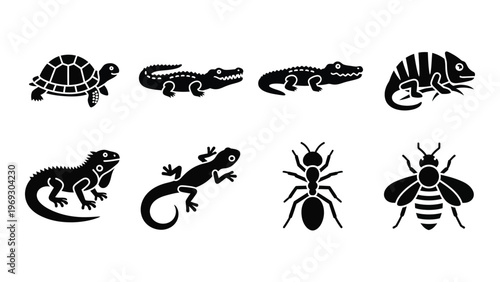 A collection of black reptile and insect silhouettes showcases turtles lizards alligators and a striking chameleon silhouette high quality professional detailed