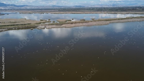 Flying over a lagoon full of water birds. El Hondo, Elche, Spain.