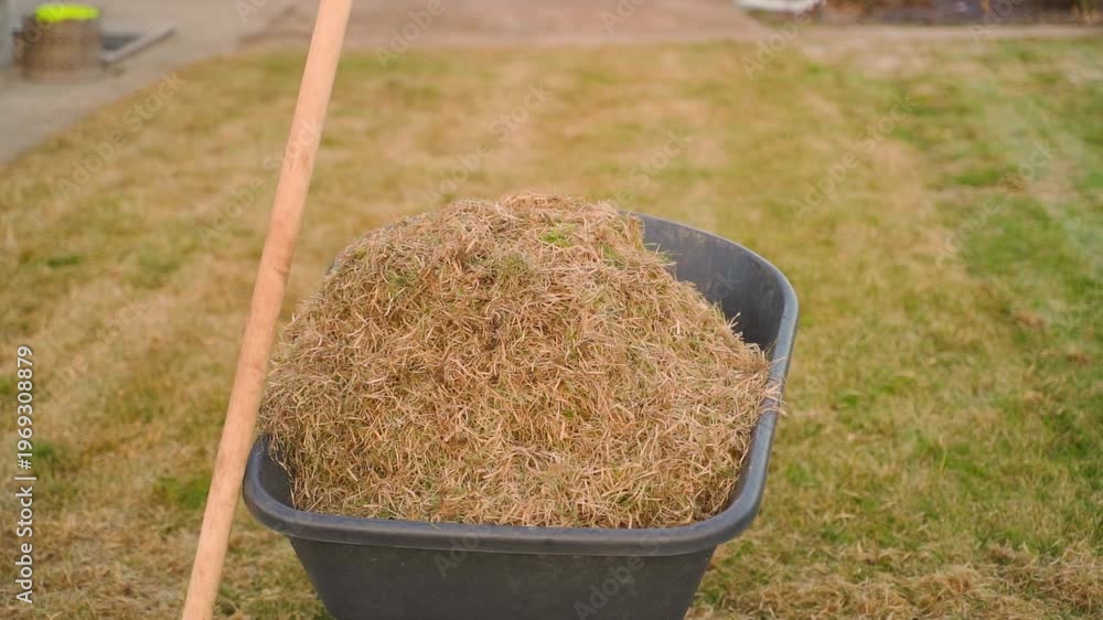 custom made wallpaper toronto digitalGarden cart full of dry grass after lawn raking with rake leaning on it smooth parallax camera movement