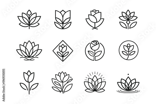 Elegant line drawings of various stylized flowers and blooms in minimalist design