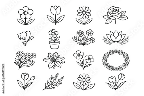 Elegant collection of floral and botanical line drawings for artistic inspiration