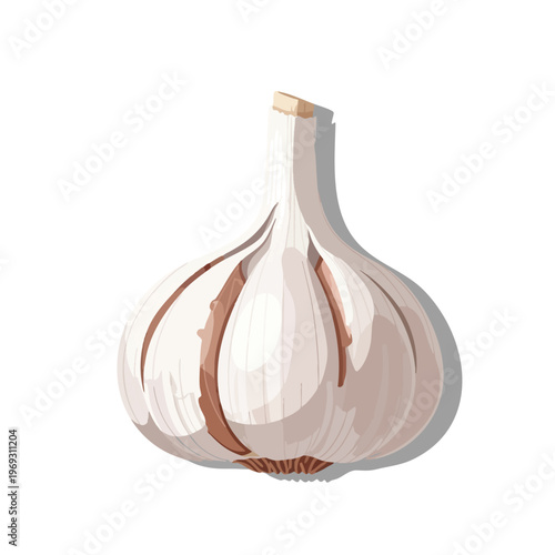 A stylized illustration of a single bulb of white garlic on a white background