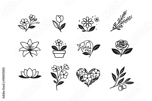 Elegant black and white floral and plant illustrations in a grid layout