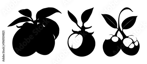 Mangosteen set with solid black silhouette of a whole fruit featuring tropical fruit, black silhouette, green crown with line art and illustration
