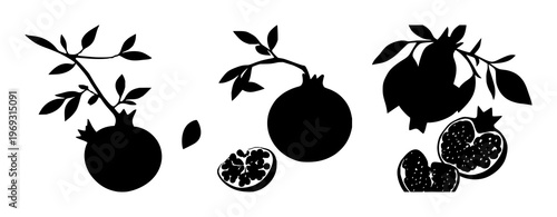 Pomegranates set with solid black silhouettes of a whole fruit next to a half against white background featuring botanical, superfruit, fruit illustration with silhouettes and black & white