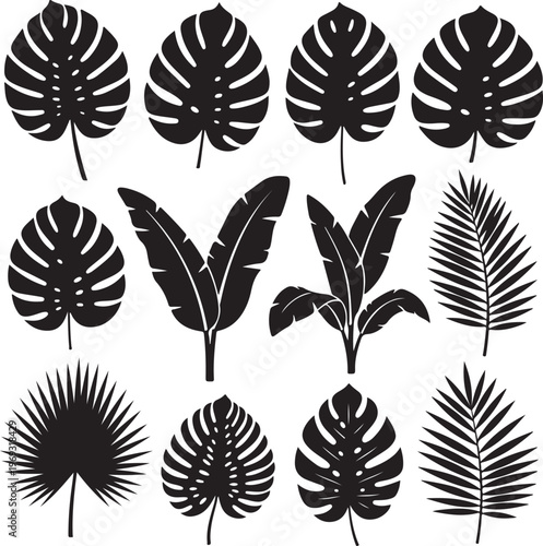 Set of black silhouettes of tropical leaves palms, trees.