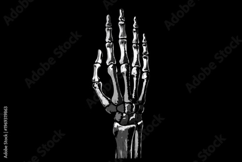 Detailed anatomical illustration of a human hand skeletal structure