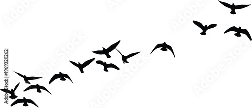 A flock of birds in flight a silhouette of freedom and natural movement