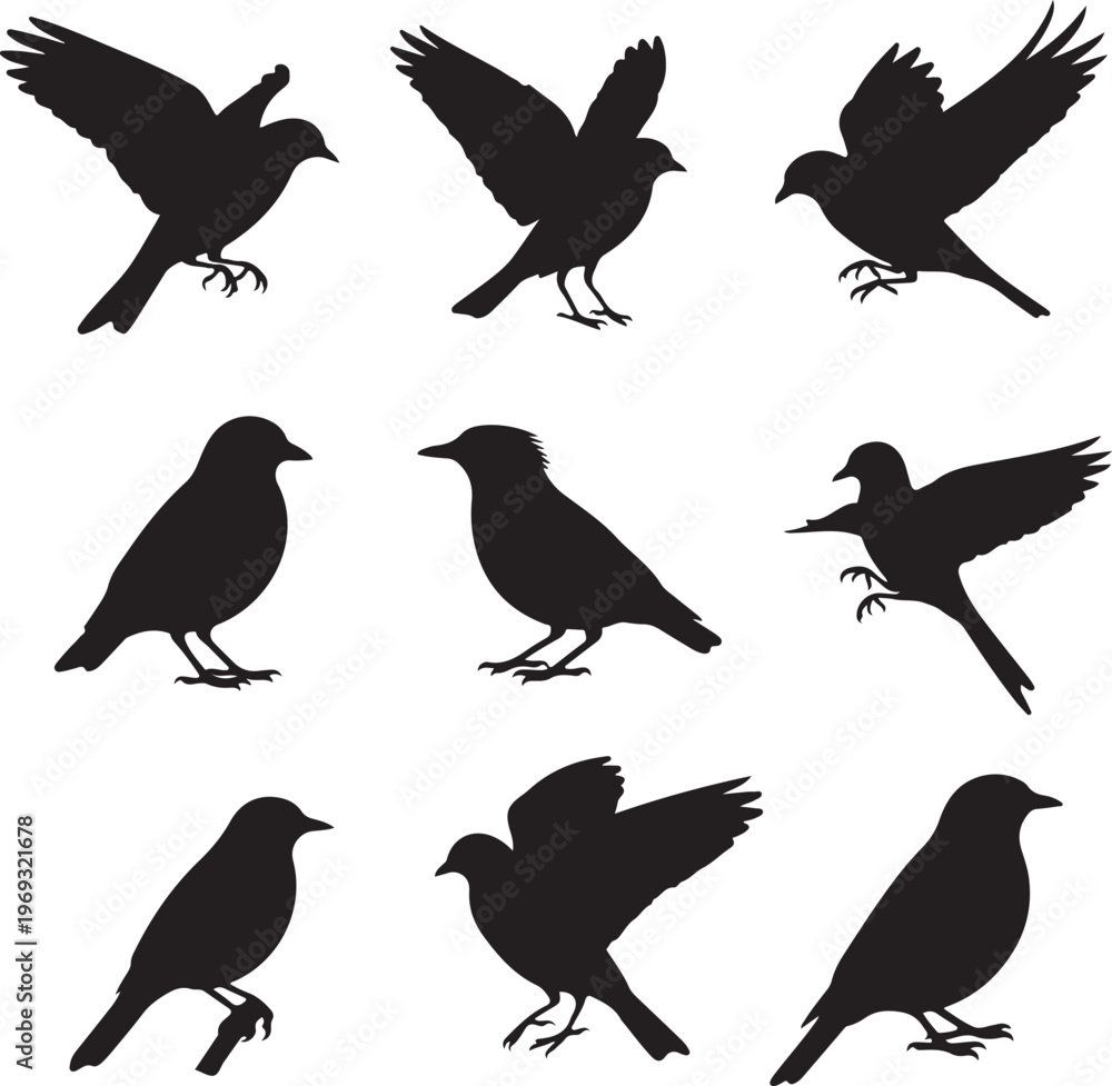 Fototapeta premium Set of flying birds sign. Dark silhouettes isolated on white.