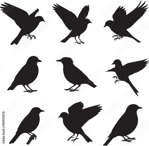 Set of flying birds sign. Dark silhouettes isolated on white.