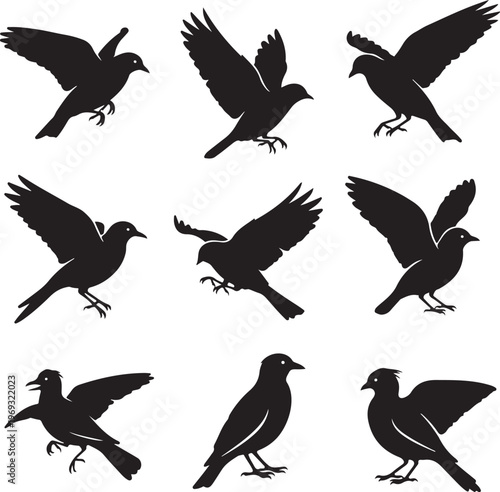 Set of flying birds sign. Dark silhouettes isolated on white.