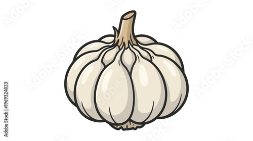 Hand-drawn illustration of a single garlic bulb on a white background