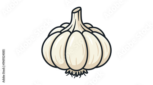 Garlic Bulb Illustration Isolated White Background Fresh Ingredient