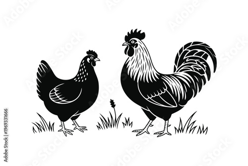 Black and white silhouette of rooster and hen standing in grass