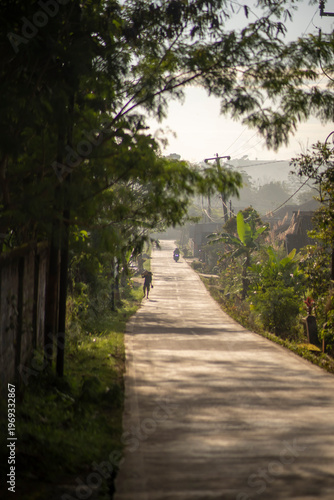 Morning Light on Quiet Rural Village Road