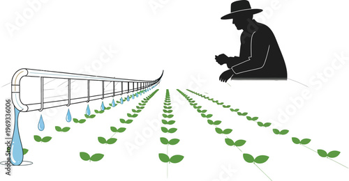 Farmer inspecting crop irrigation system in a field with green plants