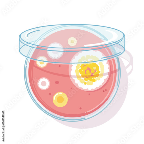 Petri dish with pink agar containing multiple colorful colonies of microorganisms