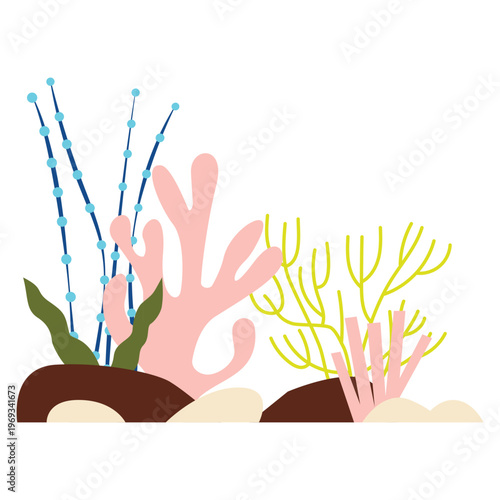 Bundle of various corals and seaweed or algae underwater species, marine creatures, sea or ocean flora and fauna