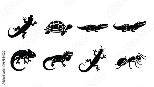 A collection of reptile and insect silhouettes showcases lizards turtles crocodiles and an ant all in black silhouette high quality professional