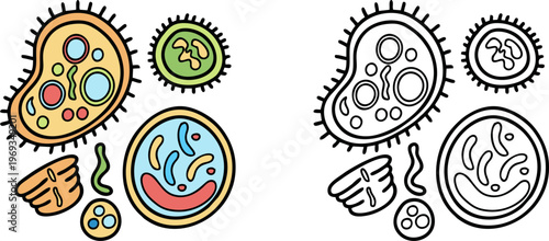 Microscopic View of Diverse Bacteria and Cells