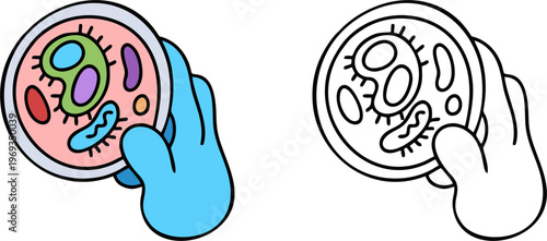 Petri Dish with Microorganisms and Gloved Hand