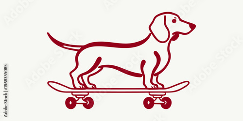 A cute dachshund puppy illustration featuring a domestic dog with a red ribbon isolated on white as a funny vector graphic drawing.