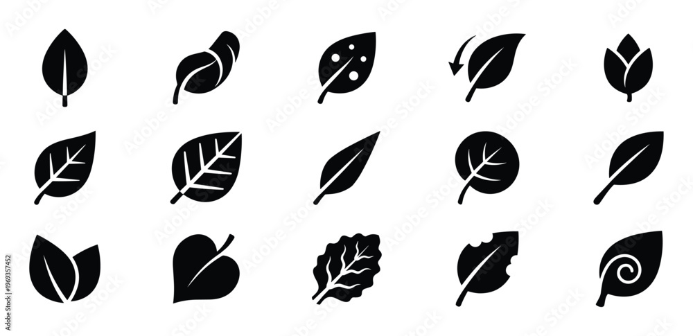 Fototapeta premium Collection of fifteen diverse black silhouette leaf icons, showcasing various shapes, textures, and styles of foliage