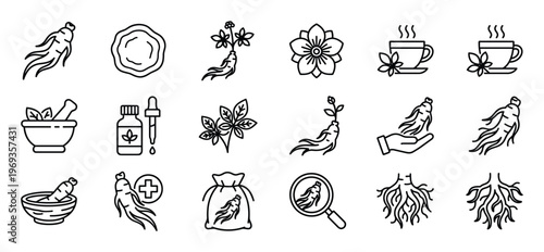 Collection of black outline icons depicting various aspects of ginseng, including roots, plants, leaves, and related products like tea and extracts, presented in a clean, illustrative style