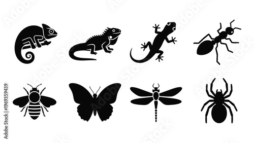 A collection of black insect and reptile silhouettes including a chameleon ant bee and spider silhouette high quality professional detailed modern