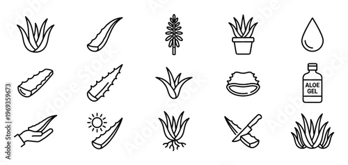 Collection of various aloe vera plant and product line icons in a clean, minimalist black outline style