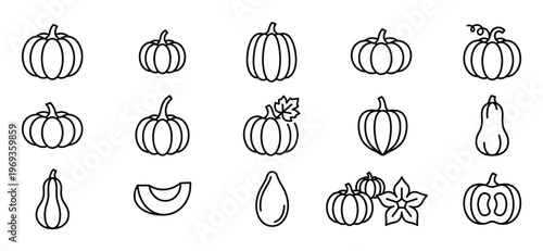 Collection of various outline pumpkin and squash icons, including whole gourds, slices, and seeds, presented in a clean, minimalist style