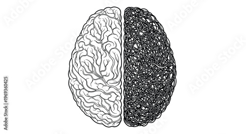 Half brain illustration: one side detailed, other side abstract chaos